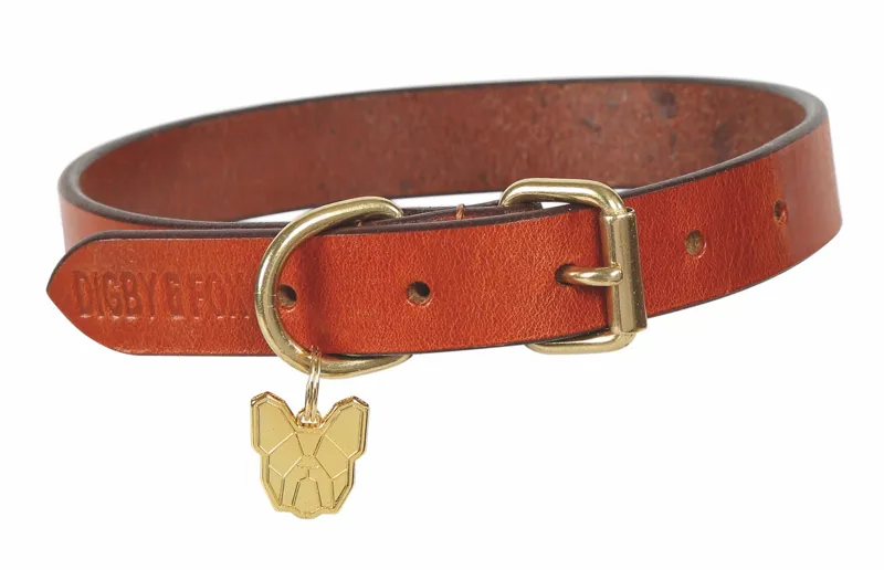 Shires Digby and Fox Flat Leather Dog Collar - Tan