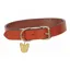 Shires Digby and Fox Flat Leather Dog Collar - Tan