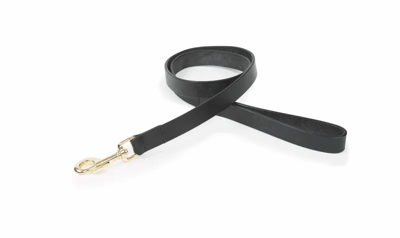 Shires Digby and Fox Flat Leather Dog Lead - Black