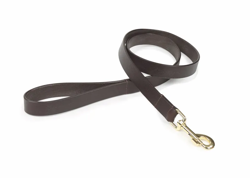 Shires Digby and Fox Flat Leather Dog Lead - Brown
