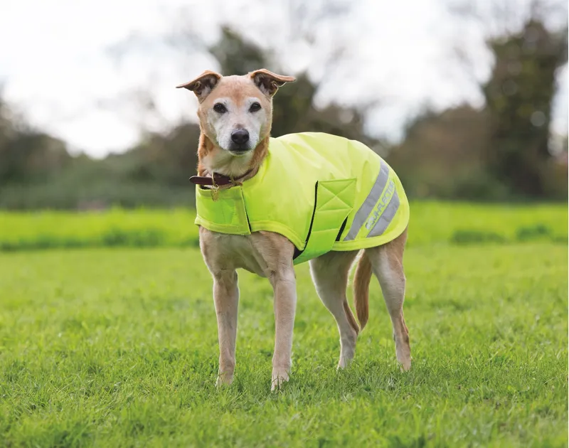 Shires Equi Flector Waterproof Dog Coat