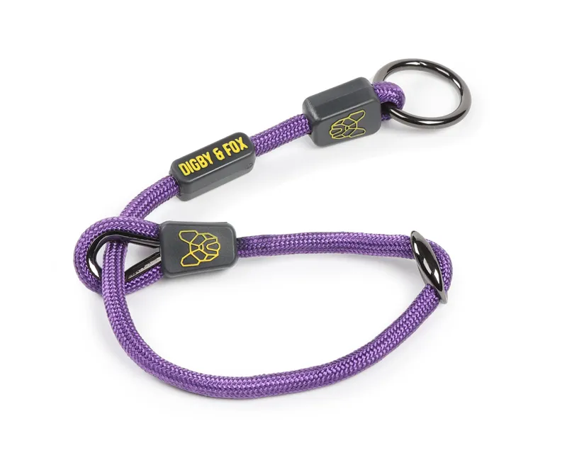 Shires Digby and Fox Pro Slip Dog Collar - Purple