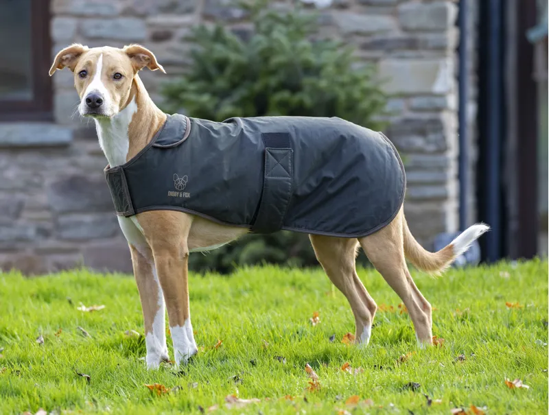 Shires Digby and Fox Wax Dog Coat - Olive
