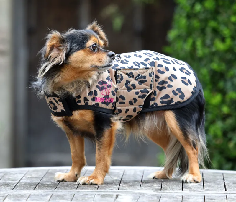 Shires Digby and Fox Leopard Dog Coat - Leopard-1
