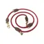 Shires Digby and Fox Fine Rope Training Lead - Red