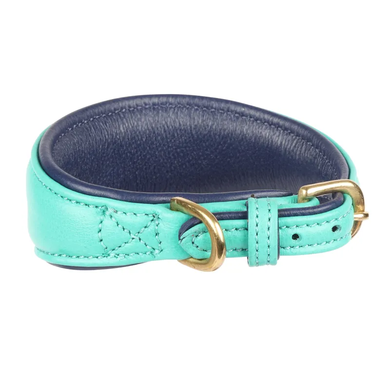 Shires Digby and Fox Padded Greyhound Collar - Teal