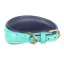 Shires Digby and Fox Padded Greyhound Collar - Teal