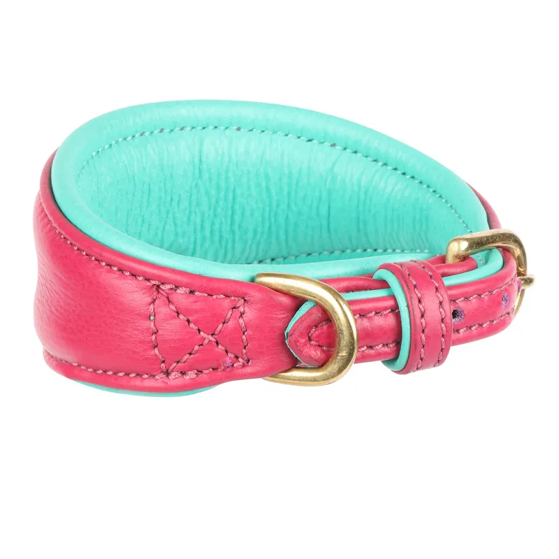 Shires Digby and Fox Padded Greyhound Collar - Pink
