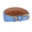 Shires Digby and Fox Padded Greyhound Collar - Royal