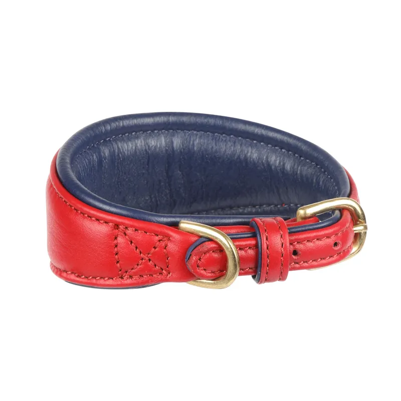 Shires Digby and Fox Padded Greyhound Collar - Scarlett