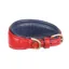 Shires Digby and Fox Padded Greyhound Collar - Scarlett