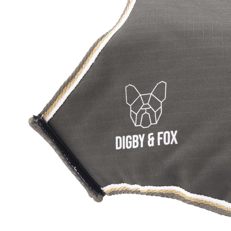Shires Digby and Fox Waterproof Dog Coat - Green-1