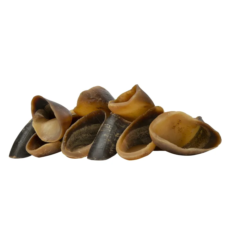 Shires Digby and Fox Buffalo Hoof Treats-1