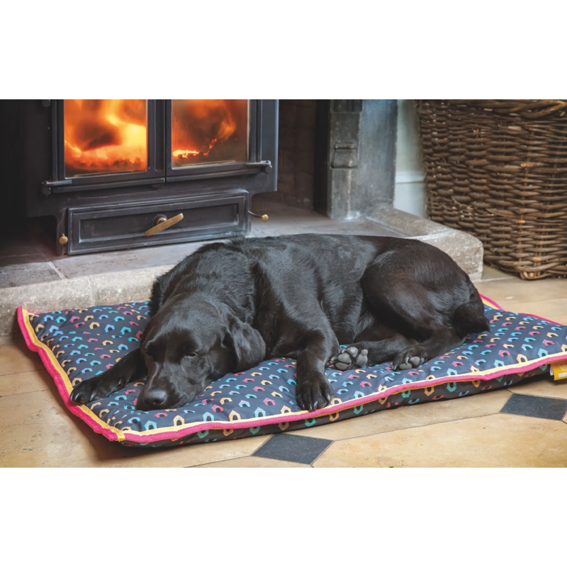 Shires Digby and Fox Waterproof Dog Bed - Dog House-1