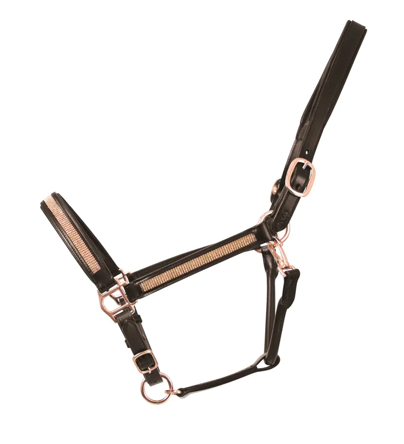 Hy Equestrian Rosciano Rose Gold Head Collar - Brown/Rose Gold