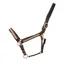 Hy Equestrian Rosciano Rose Gold Head Collar - Brown/Rose Gold