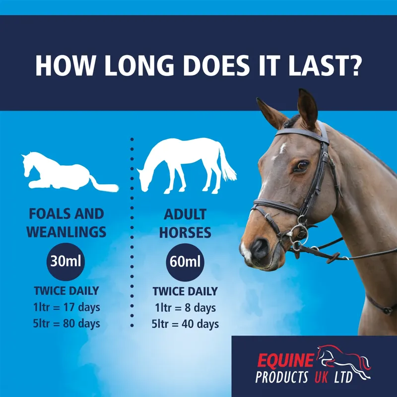 Equine Products Gastro-Mag Complementary Feed Supplement - 1L-4
