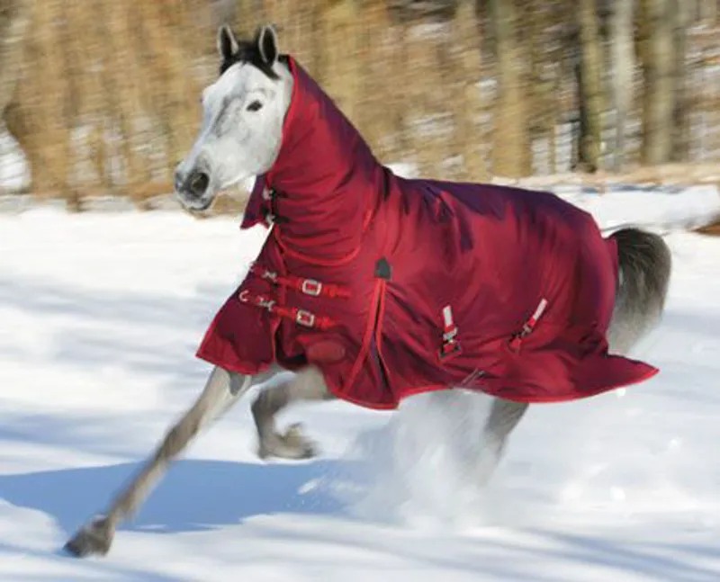 Shires StormCheeta 400g Combo Turnout Rug - Poppy Red-1