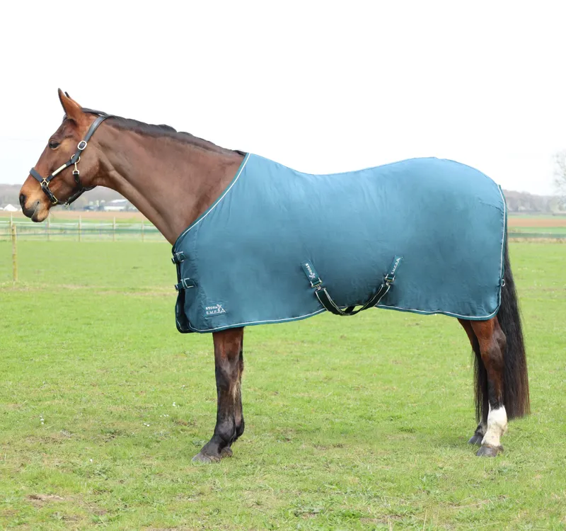 StormX Empra Pima Cotton Sheet - Teal