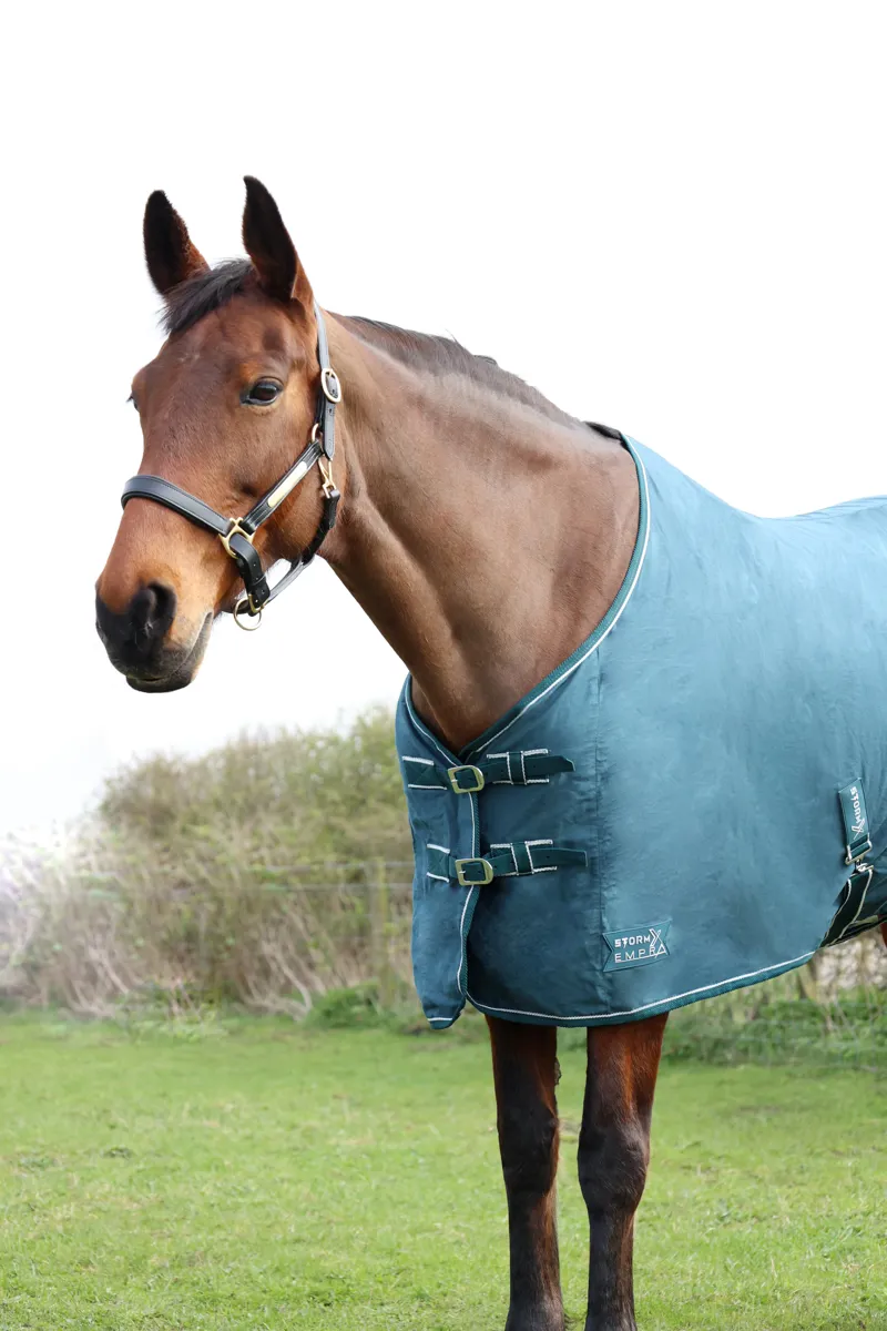 StormX Empra Pima Cotton Sheet - Teal-1