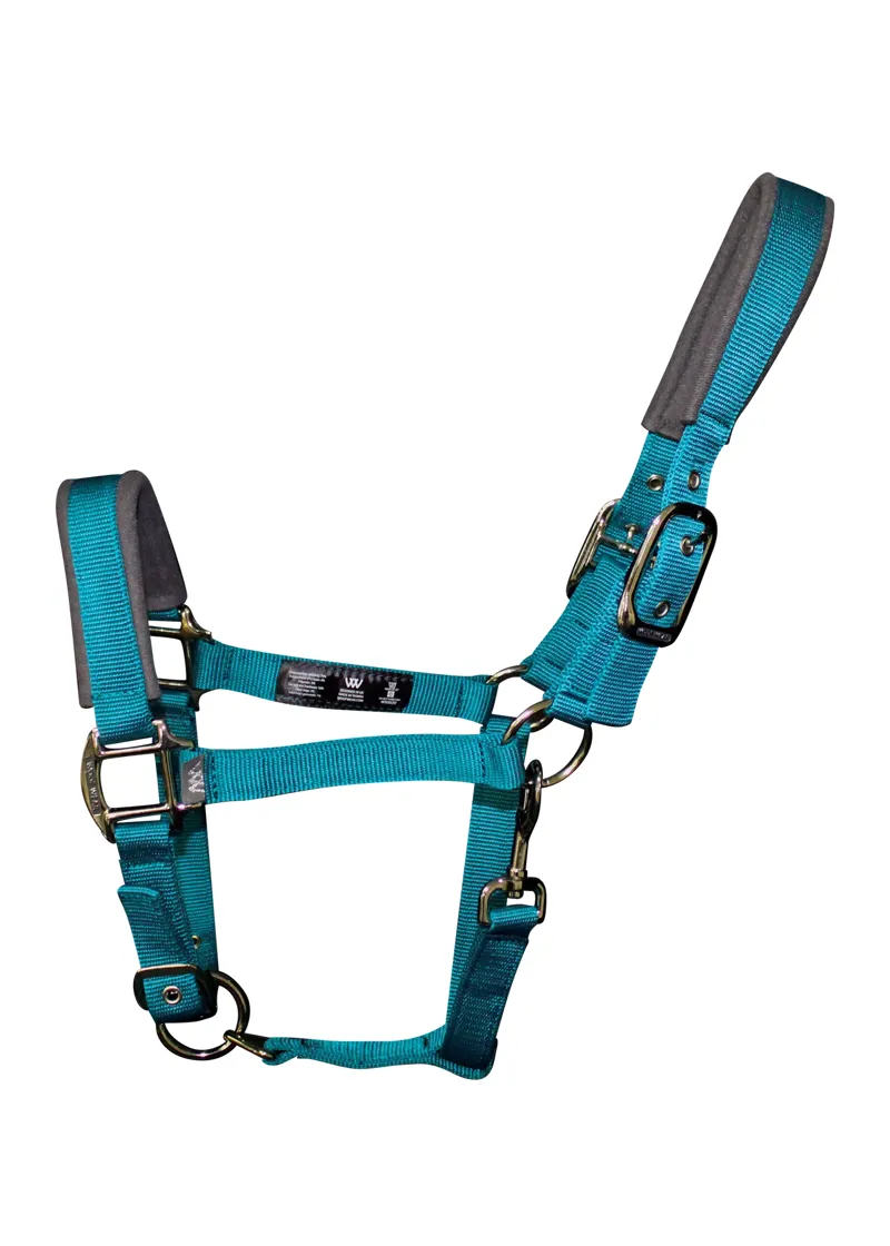 Woof Wear Contour Head Collar - Ocean