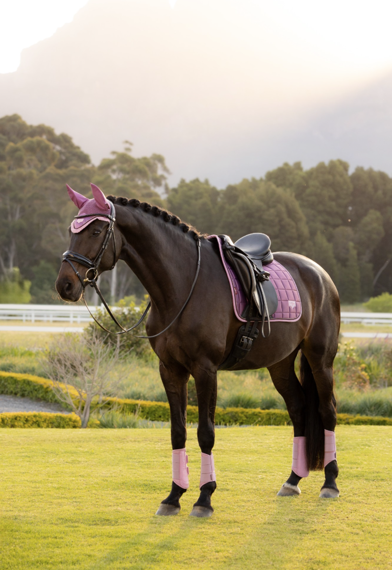 LeMieux Loire Classic Dressage Square - Mallow-1