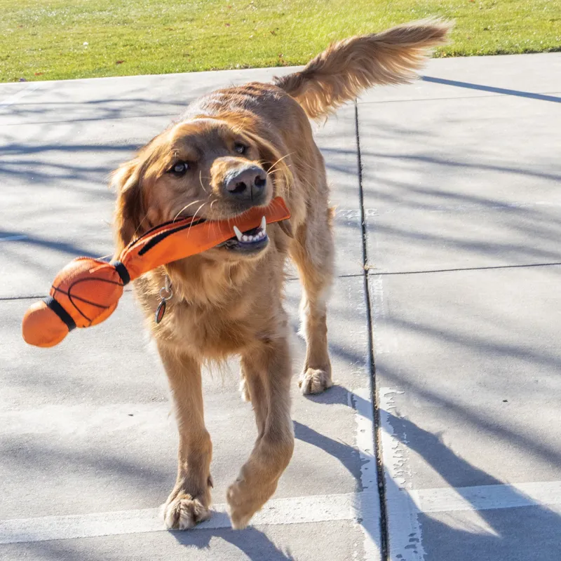 KONG Wubba Sport Basketball Dog Toy - Orange-4