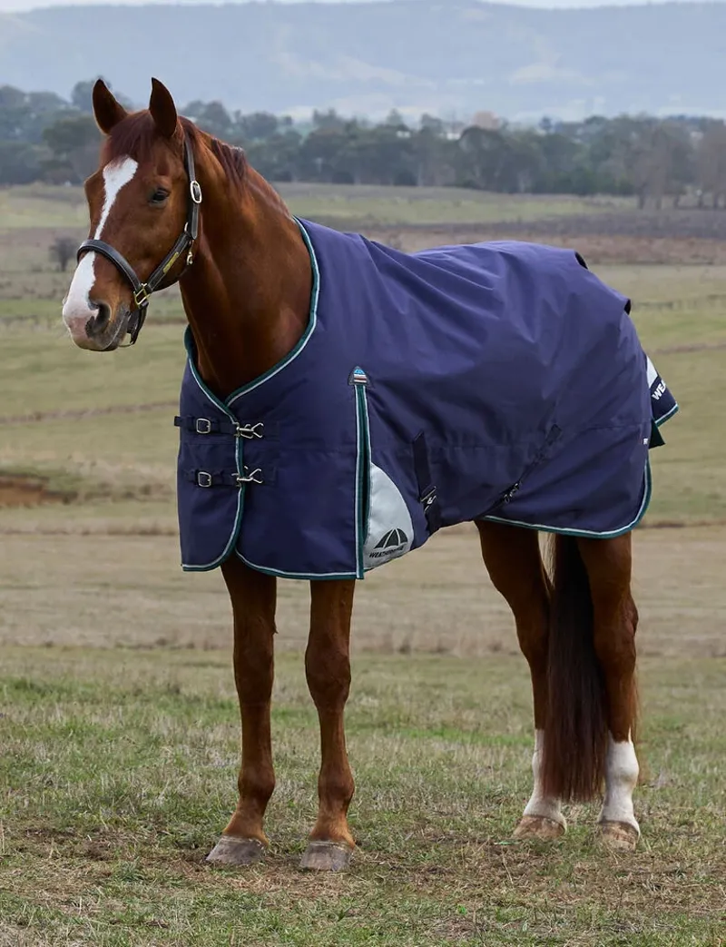 WeatherBeeta ComFiTec Plus 100G Dynamic Turnout Rug - Navy-1