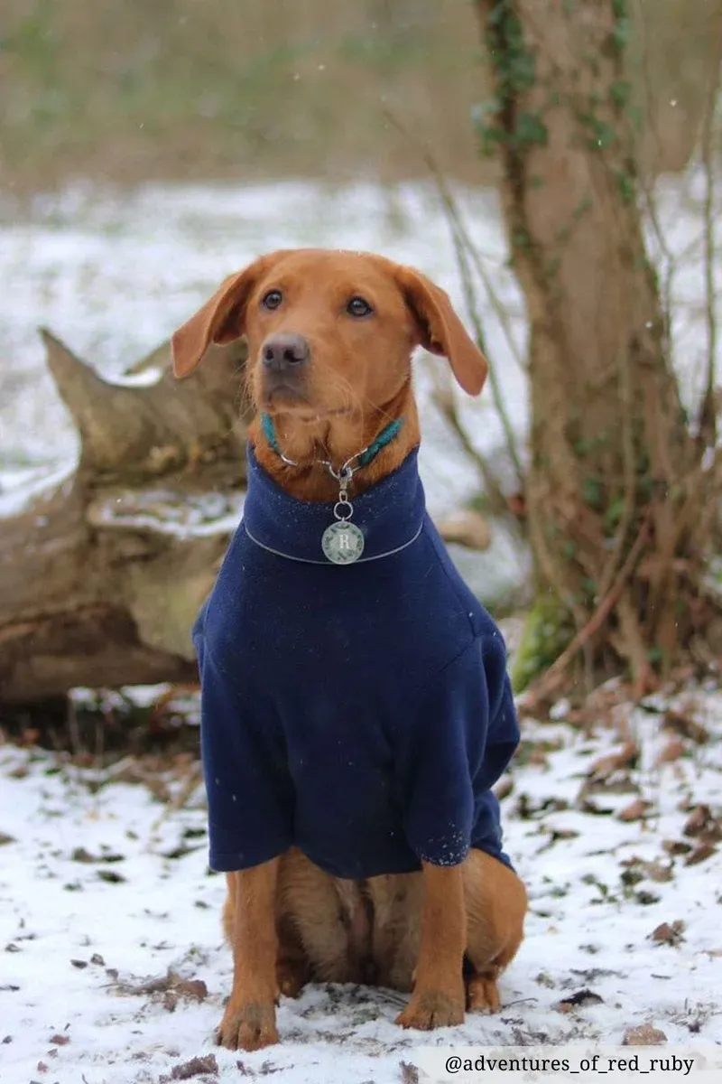 Rydale Yapham Fleece Dog Jumper - Navy