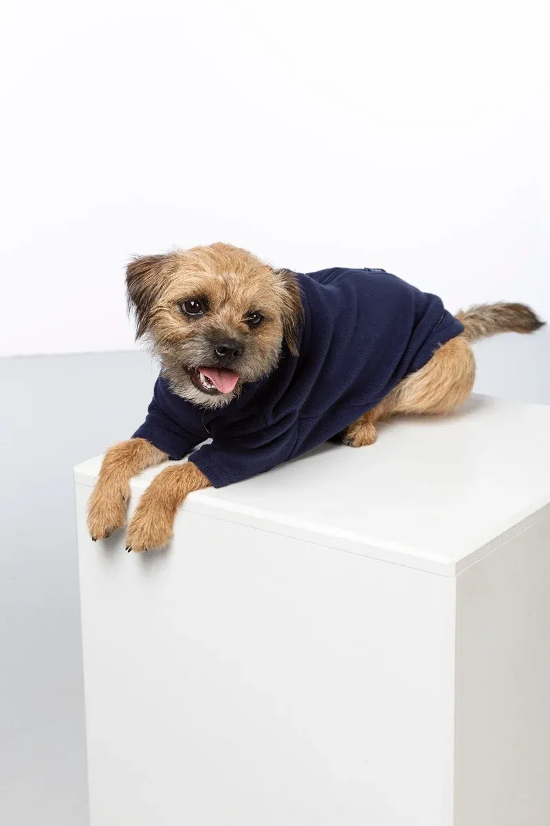 Rydale Yapham Fleece Dog Jumper - Navy-6