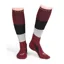 Shires Aubrion Perivale Compression Socks - Wine