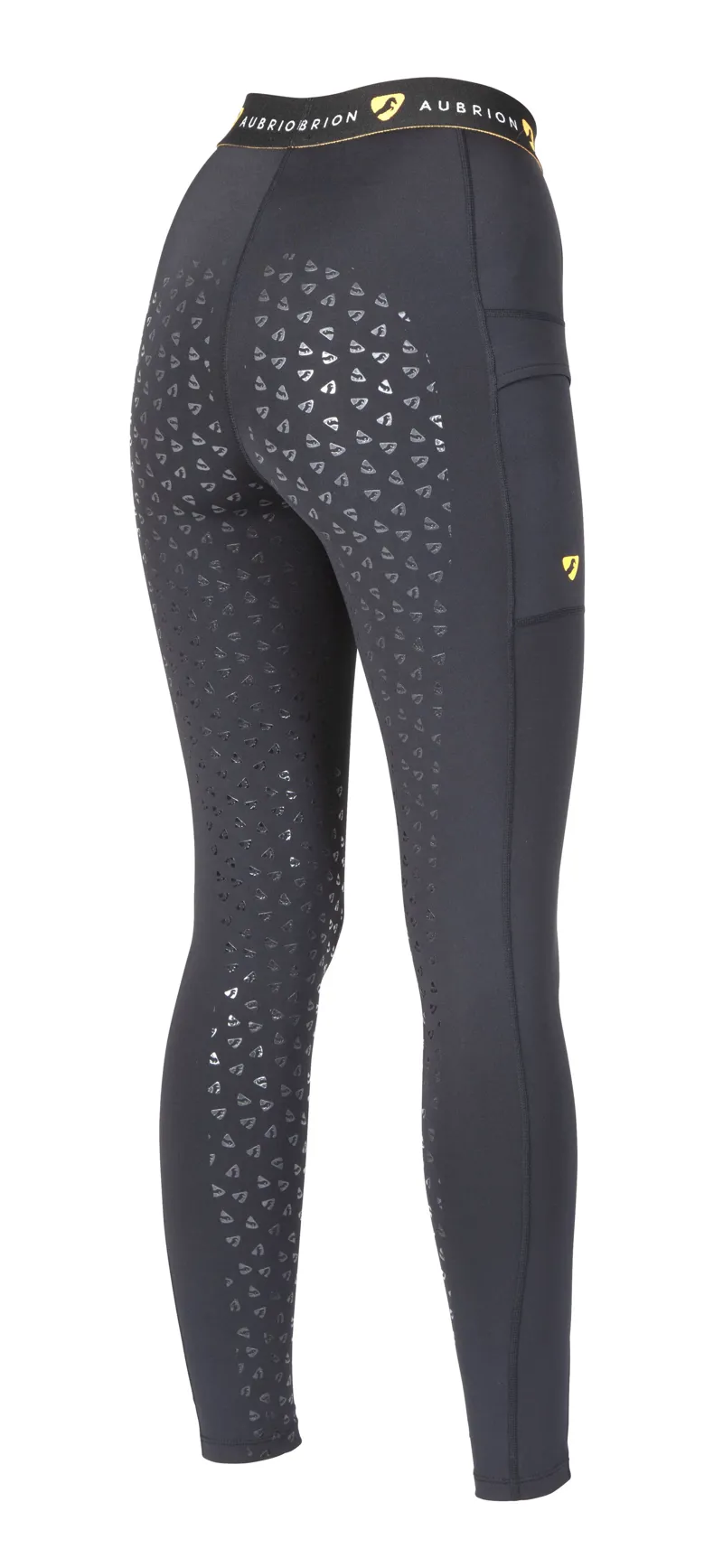 Shires Aubrion Dutton Ladies Riding Tights - Black-1