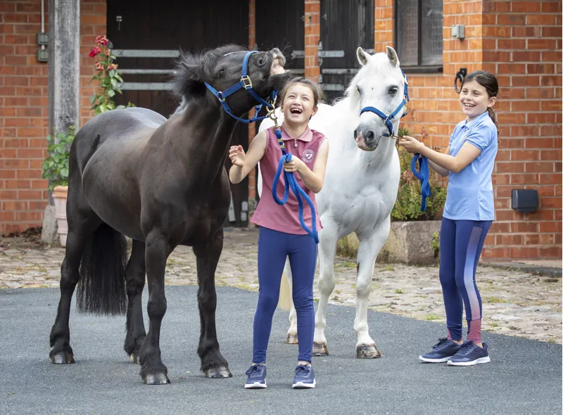 Shires Aubrion Harrow Maids Sleeveless Polo - Dusky Pink-1