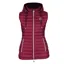Shires Aubrion Norwood Packaway Ladies Gilet - Wine