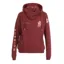 Shires Aubrion Team Hoodie - Burgundy