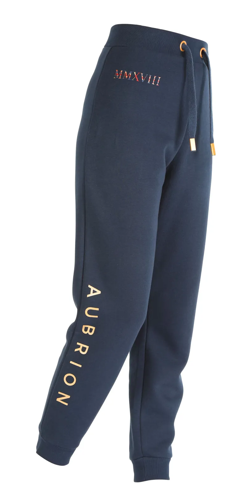 Shires Aubrion Team Joggers - Navy