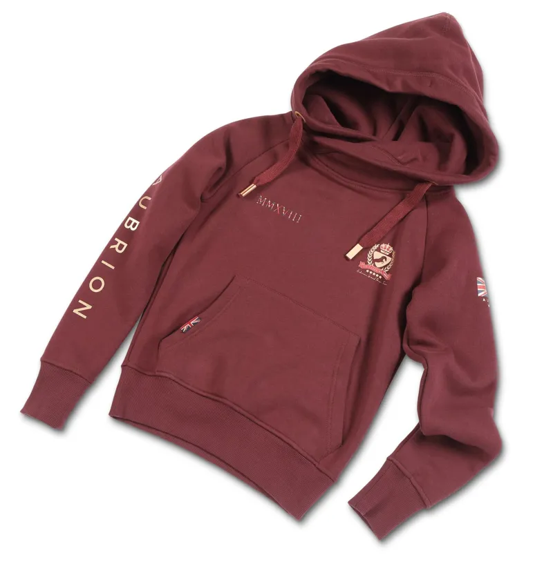 Shires Aubrion Children's Team Hoodie - Burgundy