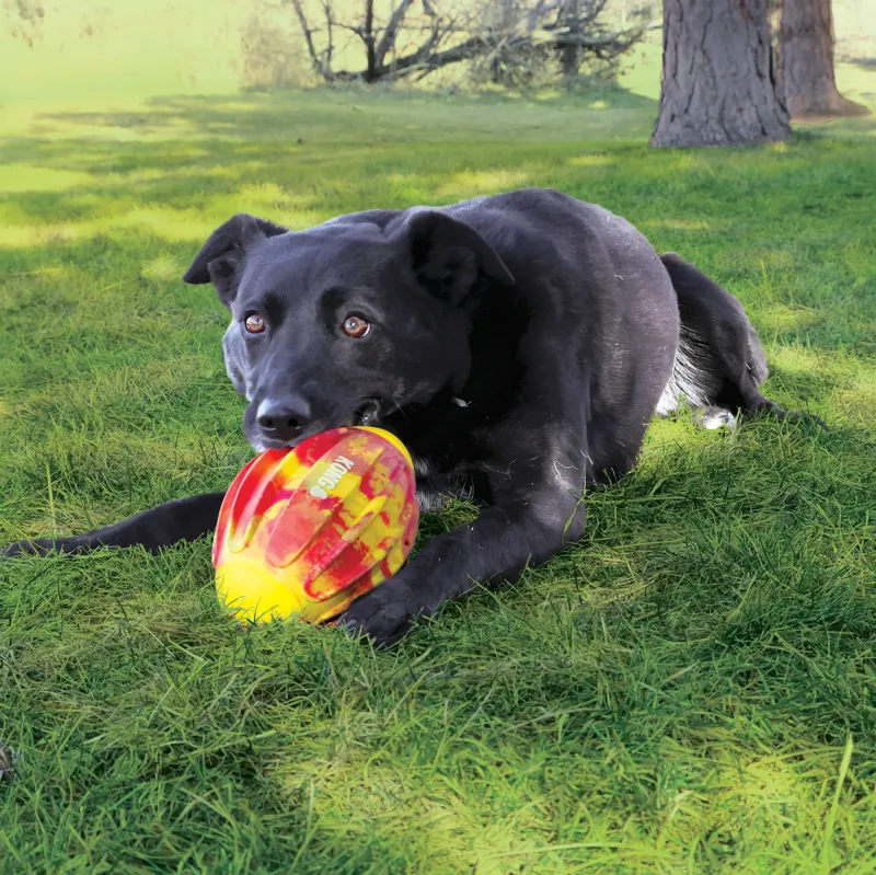 KONG Medium Dog Toy FlexBall Sport Football-4