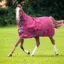 Shires Tempest Original 200g Turnout Combo Rug - Maroon