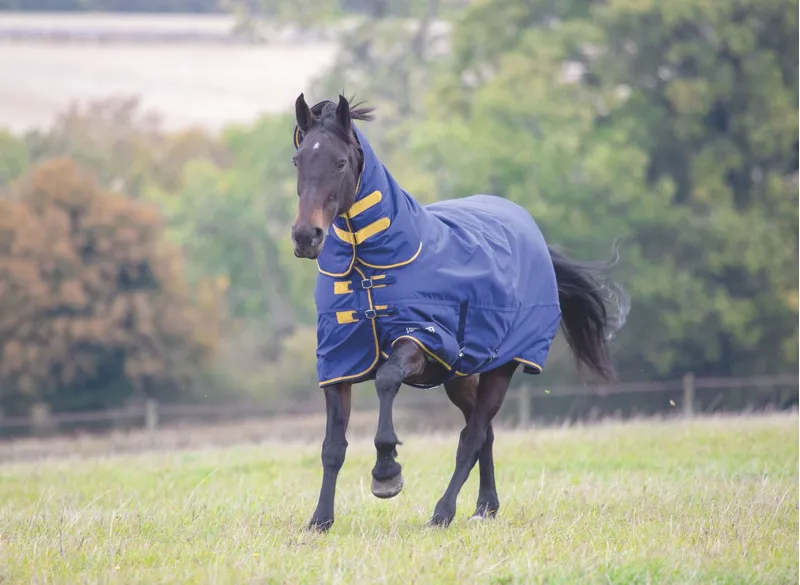 Shires Tempest Original 300g Turnout Combo Rug - Navy