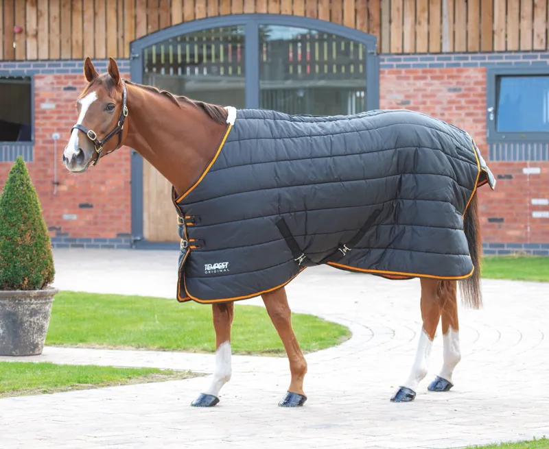 Shires Tempest Original 300g Stable Rug - Black