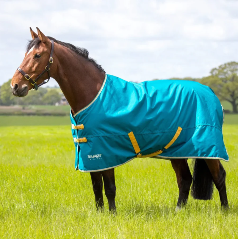 Shires Tempest Original 50g Turnout Rug - Blue-1