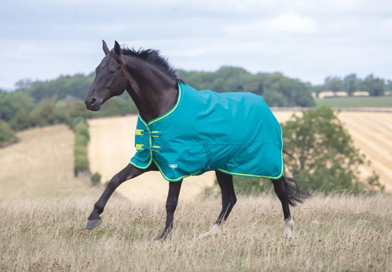 Shires Tempest Original 50 Turnout Rug - Green/Lime - 5ft6