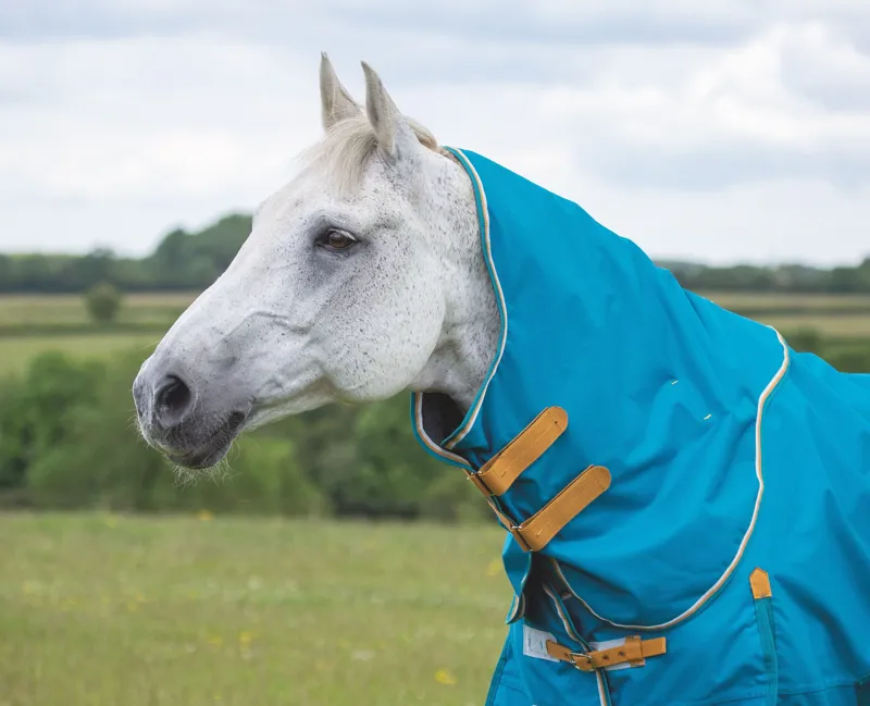 Shires Highlander Original 0g Lite Neck Cover - Teal
