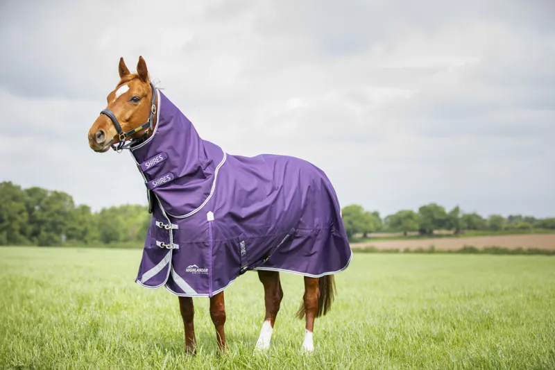 Shires Highlander Original 100g Turnout Neck Cover - Plum-1