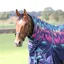 Shires Highlander Original 200g Turnout Neck Cover - Navy Forest