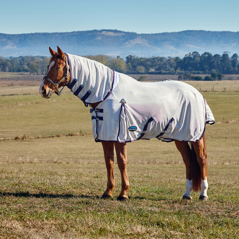 WeatherBeeta ComFiTec Airflow Fly Sheet Combo - Grey/Navy/Burgundy