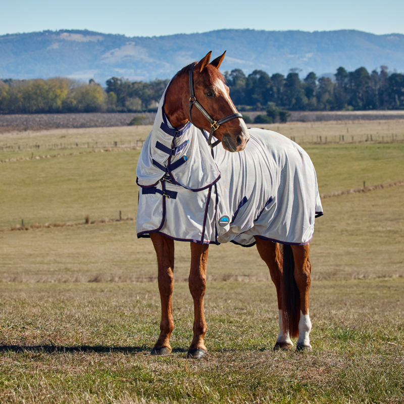 WeatherBeeta ComFiTec Airflow Fly Sheet Combo - Grey/Navy/Burgundy-1