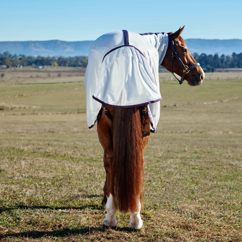 WeatherBeeta ComFiTec Airflow Fly Sheet Combo - Grey/Navy/Burgundy-7