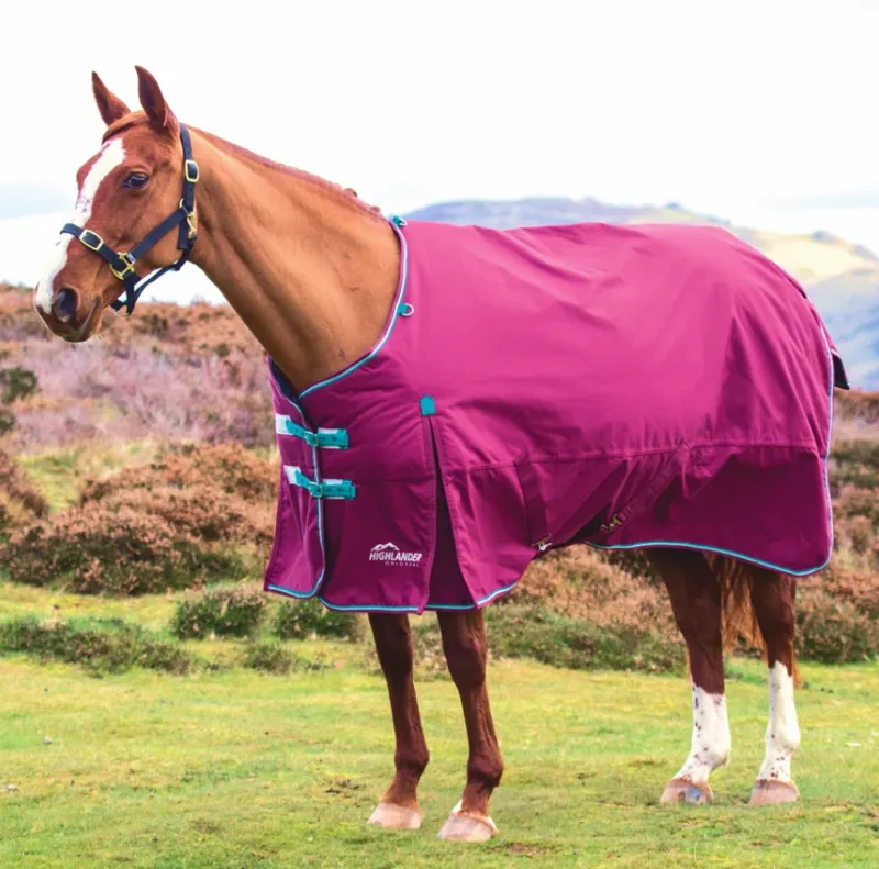 Shires Highlander Original 300g Turnout Rug - Raspberry